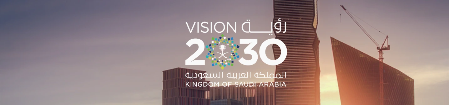 Vision 2030